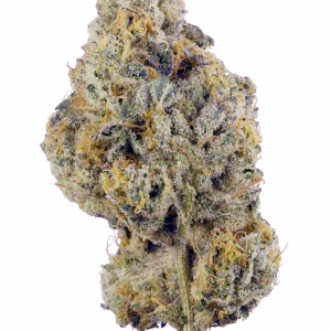 Wedding Cake ( hybrid )