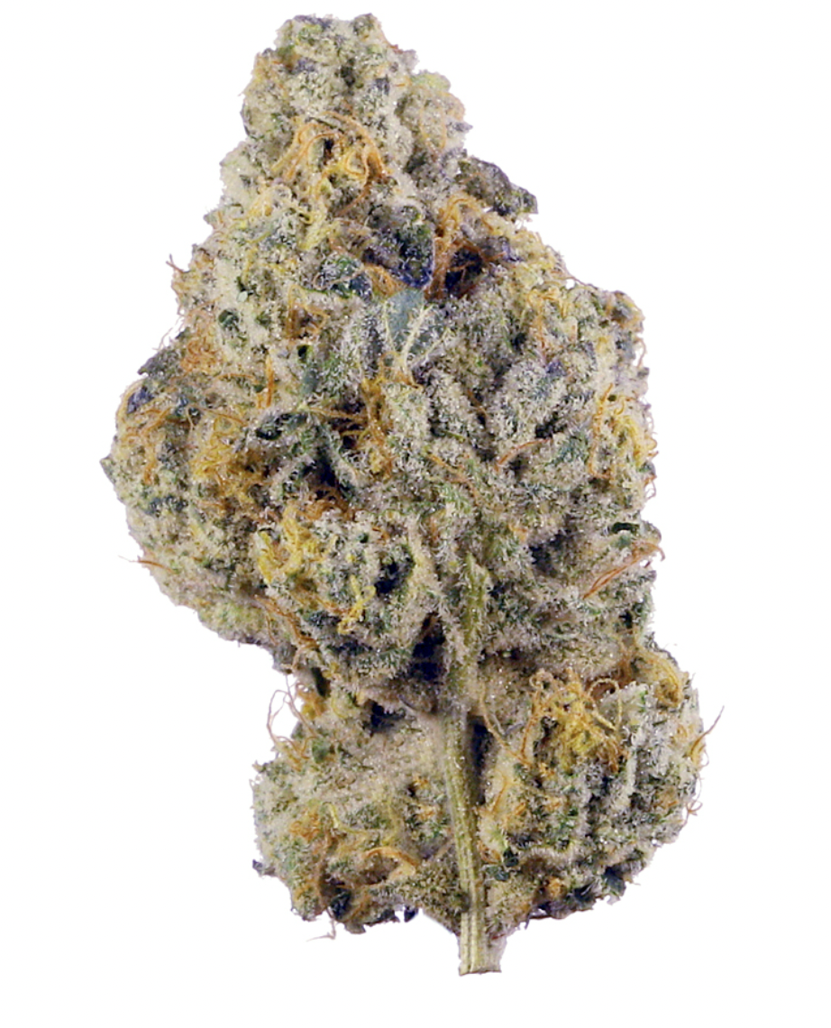 Wedding Cake ( hybrid )