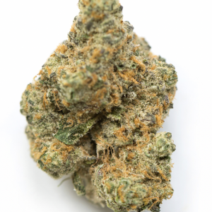 Watermelon Z ( hybrid )