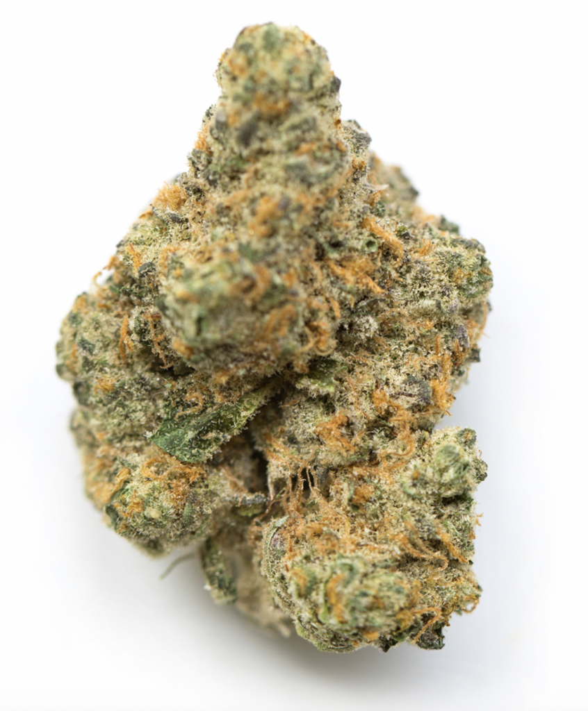 Watermelon Z ( hybrid )