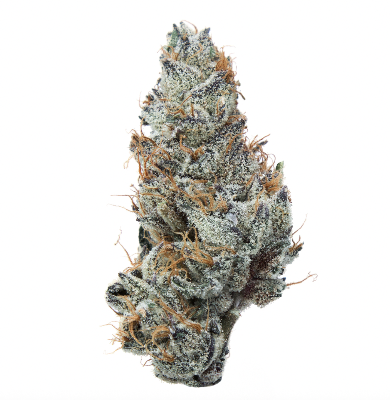 Grape Ape ( Indica )